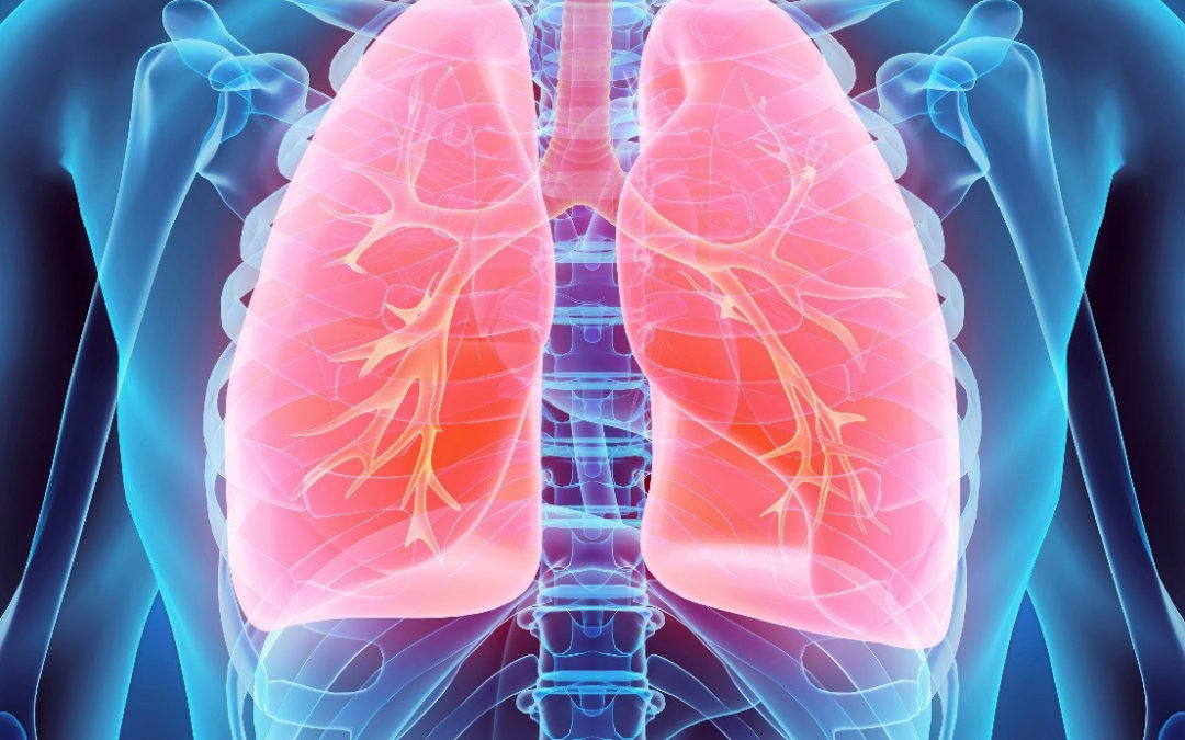 Pulmonológia