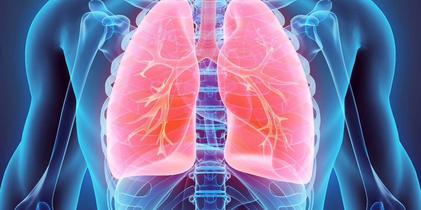 Pulmonológia